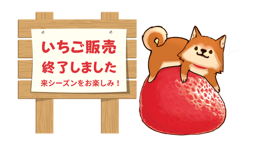 いちご販売終了